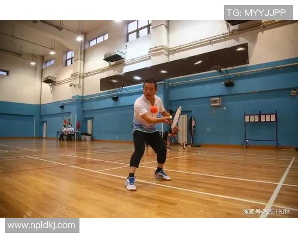 深入探讨北京羽毛球队技术特点与其他队伍的差异分析